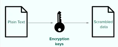 Security Keys کلیدهای امنیتی